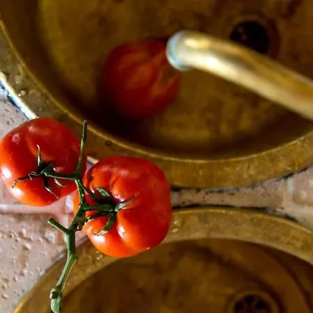 别墅 Charming Tuscan With Stunning Seaview & Pool Culla